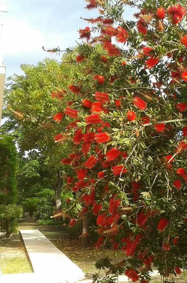 The Red Dragon Hotel ดัสเซีย ภายนอก รูปภาพ